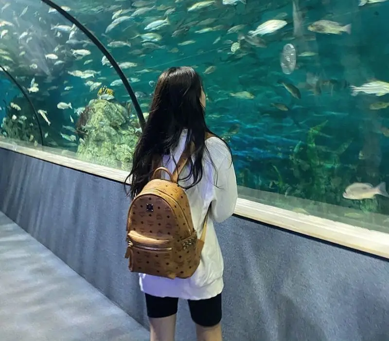 Thủy Cung Times City: Đại dương thu nhỏ giữa l&ograve;ng thủ đ&ocirc; 3