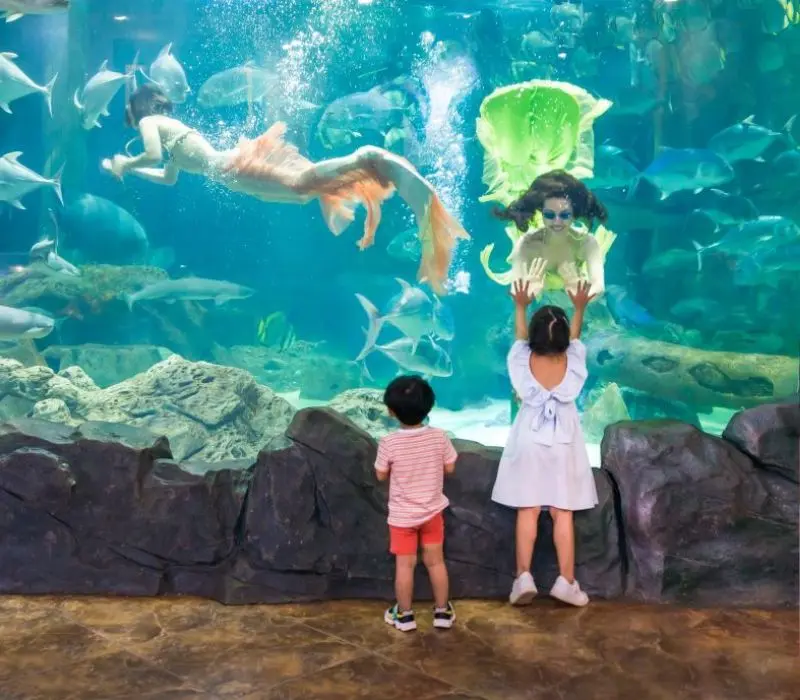 Thủy Cung Times City: Đại dương thu nhỏ giữa l&ograve;ng thủ đ&ocirc; 5