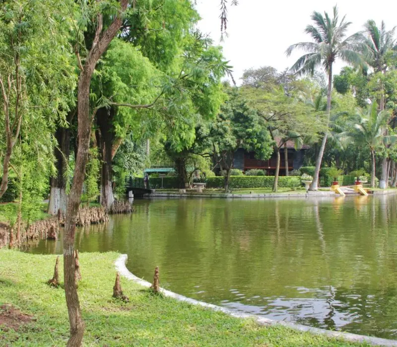 T&igrave;m hiểu về ao c&aacute; B&aacute;c Hồ, nơi kể những c&acirc;u chuyện giản dị về Người 2