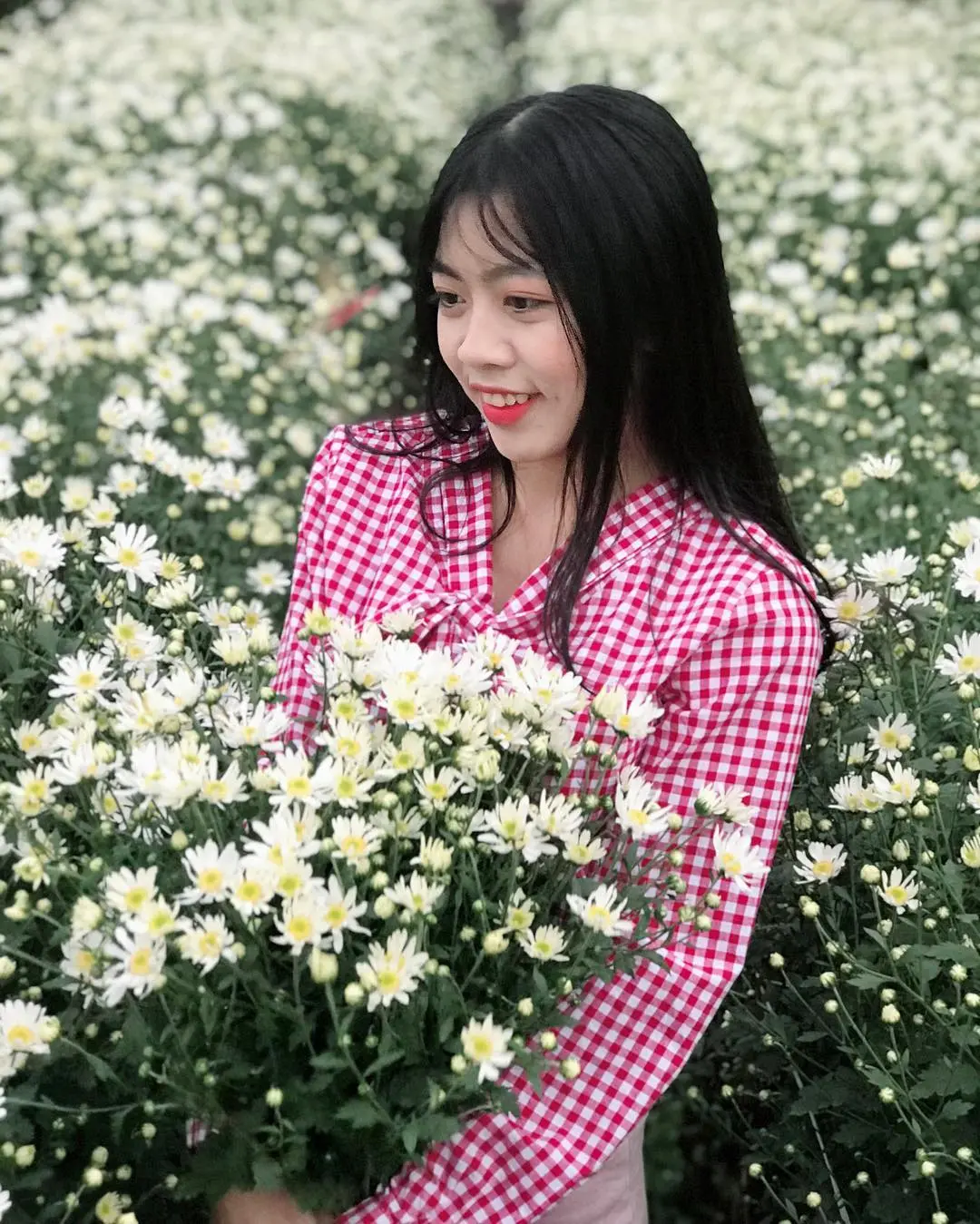 Top 5 địa điểm chụp hình cúc họa mi ở Hà Nội đẹp ngất ngây 8