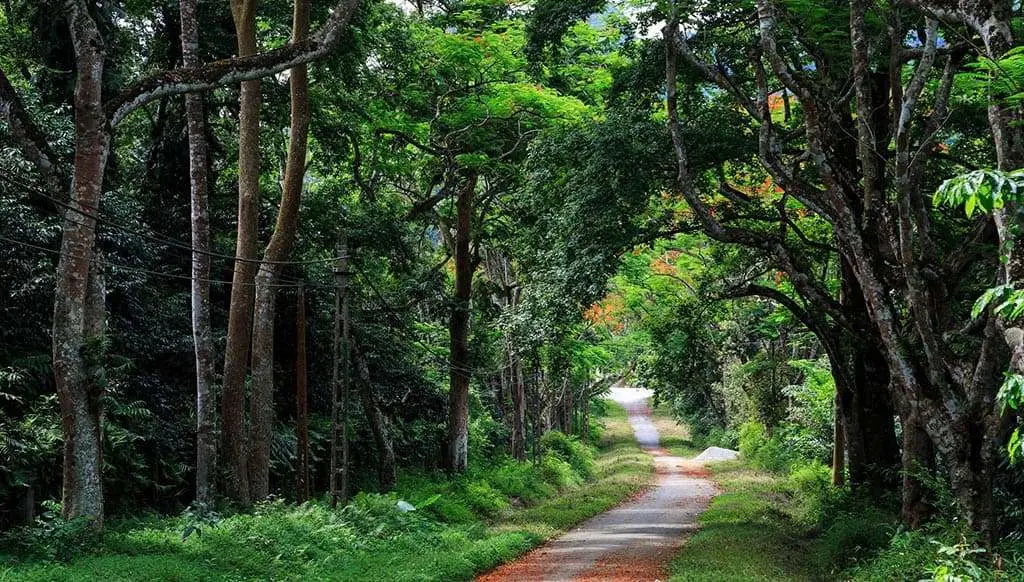 Top 8 điểm du lịch Ba V&igrave; m&agrave; bạn nhất định phải đến một lần trong đời 2