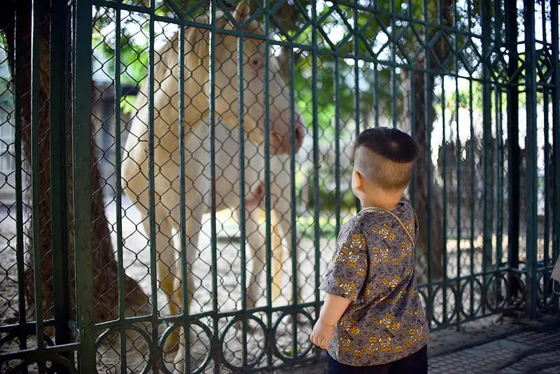 Vườn b&aacute;ch th&uacute; H&agrave; Nội, điểm tham quan xanh ng&aacute;t giữa thủ đ&ocirc; 4