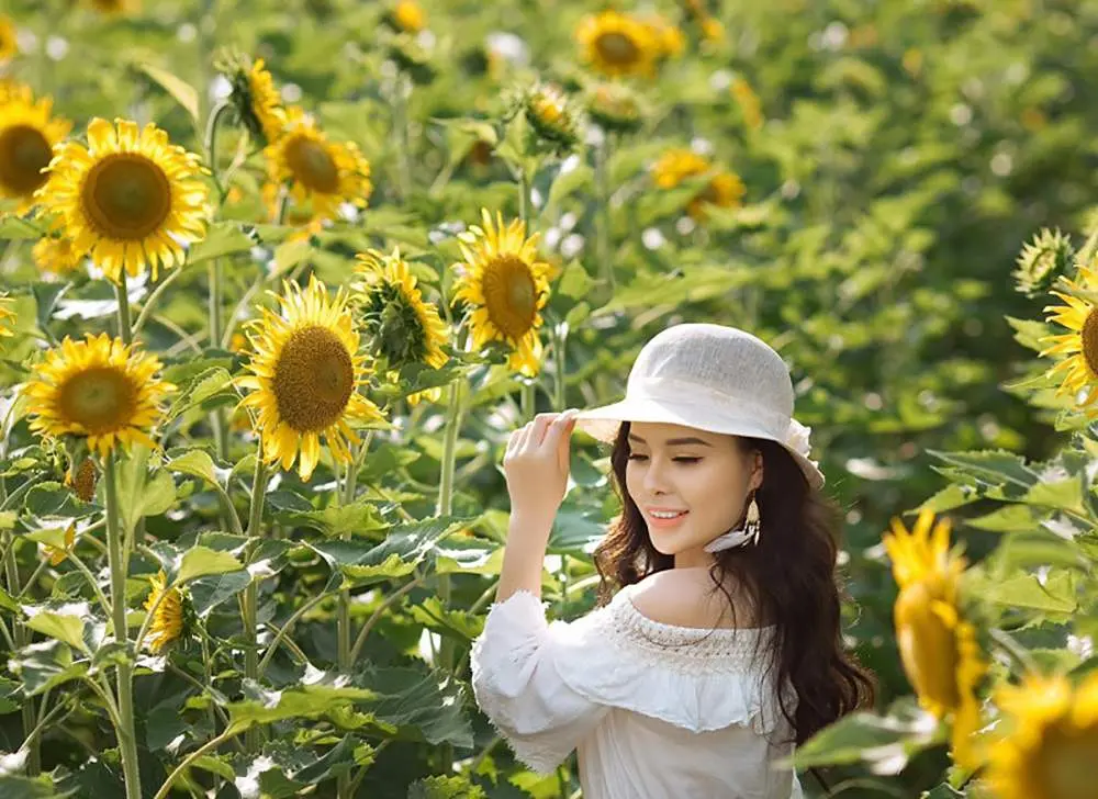 Vườn hoa bãi đá sông Hồng - Tọa độ sống ảo nao lòng giữa thủ đô 3