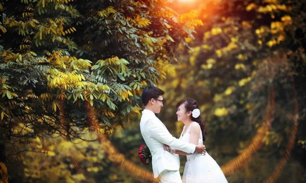Vườn nh&atilde;n Vĩnh Tuy - Tọa độ sống ảo đẹp hết nấc giữa l&ograve;ng thủ đ&ocirc; 8