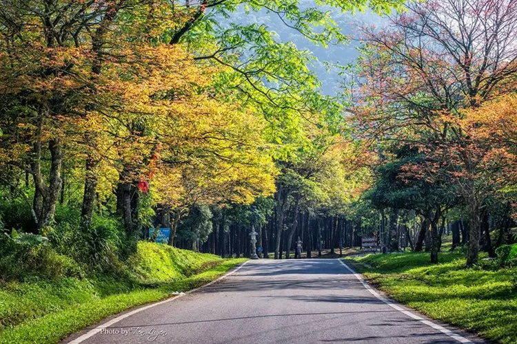 Vườn Quốc gia Ba V&igrave; - Địa điểm l&yacute; tưởng cho những chuyến d&atilde; ngoại 6