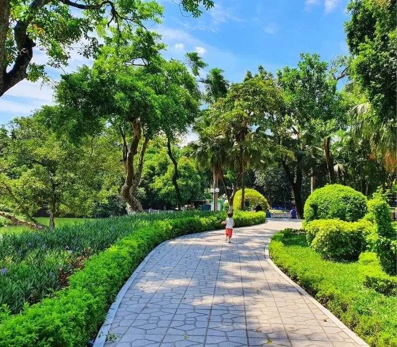 Phố Đào Tấn có gì chơi? Kinh nghiệm khám phá từ A - Z