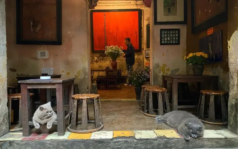 Cafe Cuối Ng&otilde;, nơi gắn kết những t&acirc;m hồn y&ecirc;u nhạc Trịnh 7