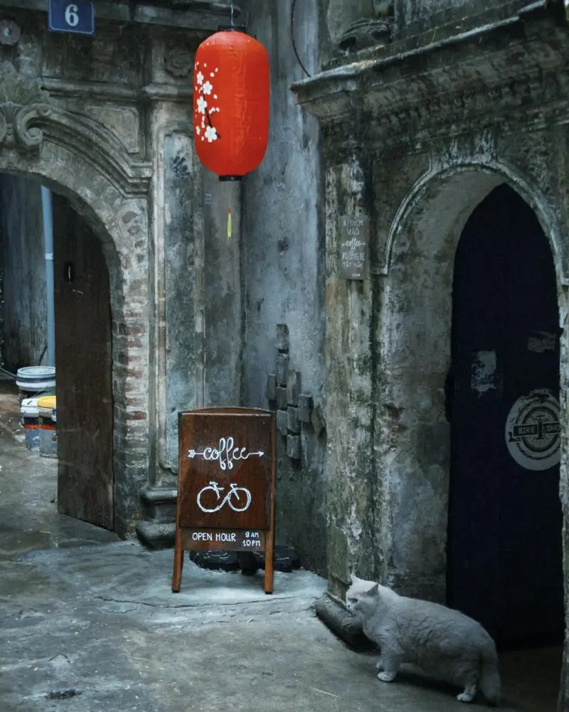 Cafe Cuối Ng&otilde;, nơi gắn kết những t&acirc;m hồn y&ecirc;u nhạc Trịnh 9