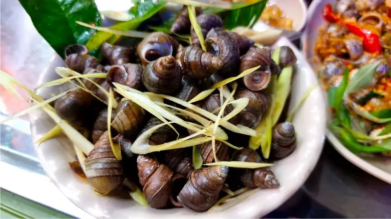 Thưởng thức ốc luộc H&agrave; Nội với top 15 qu&aacute;n ngon nổi tiếng 9