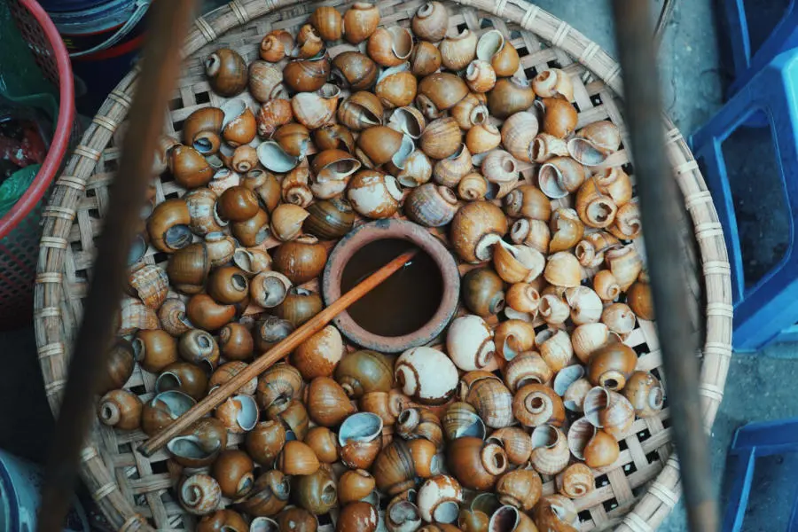 Trải nghiệm B&uacute;n ốc nguội c&ocirc; B&aacute;u trứ danh H&agrave; Th&agrave;nh 4