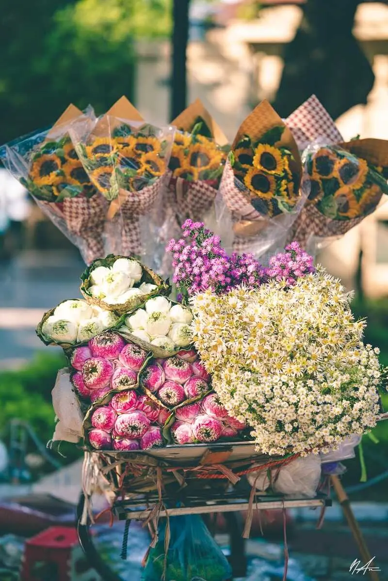 Chi&ecirc;m ngưỡng m&ugrave;a thu H&agrave; Nội c&ugrave;ng sắc hoa rực rỡ 2