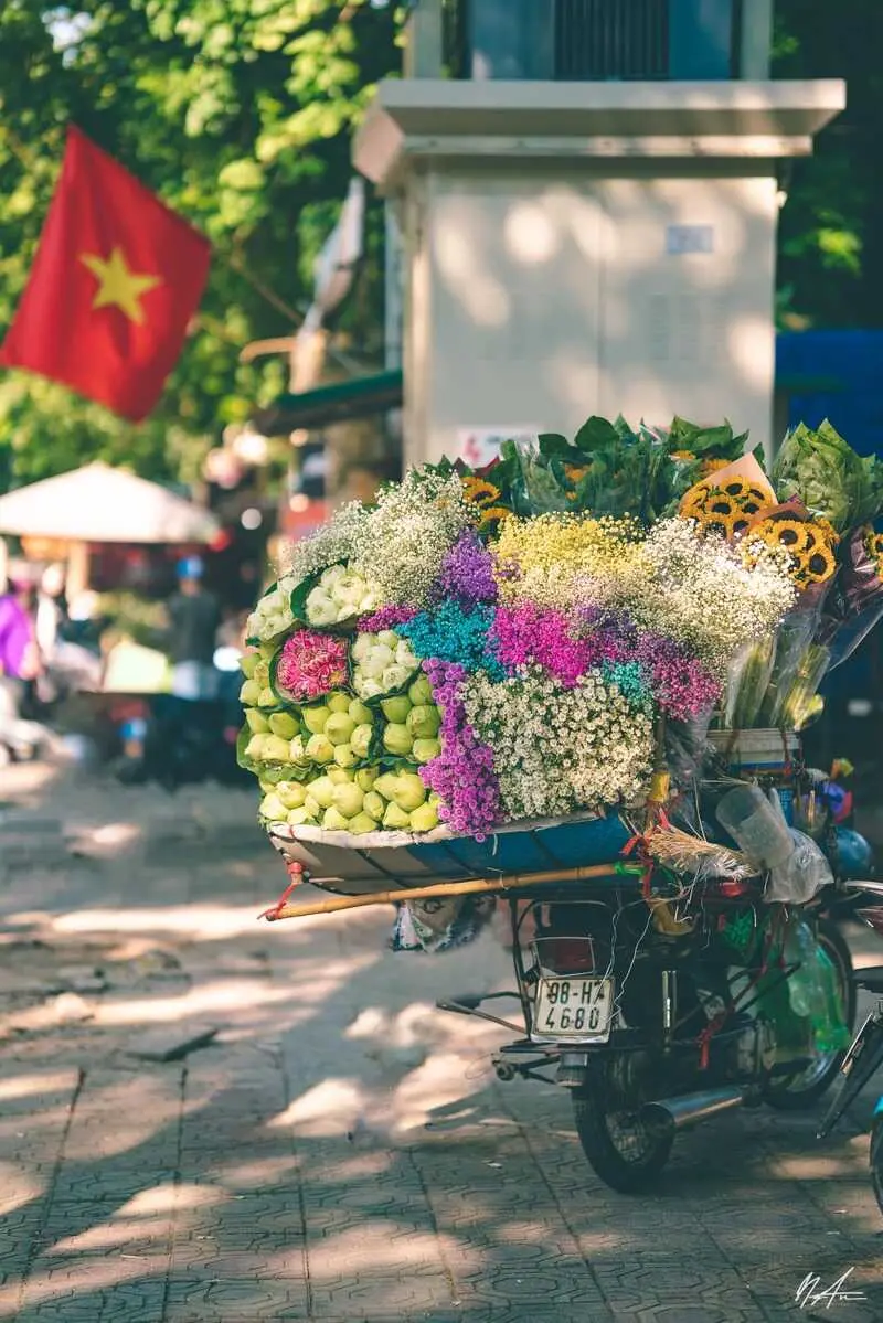Chi&ecirc;m ngưỡng m&ugrave;a thu H&agrave; Nội c&ugrave;ng sắc hoa rực rỡ 6