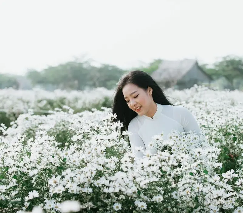 Chi&ecirc;m ngưỡng vẻ đẹp rực rỡ của l&agrave;ng hoa Nhật T&acirc;n giữa l&ograve;ng H&agrave; Nội 7