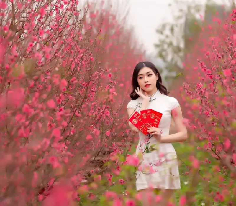 Chi&ecirc;m ngưỡng vẻ đẹp rực rỡ của l&agrave;ng hoa Nhật T&acirc;n giữa l&ograve;ng H&agrave; Nội 5