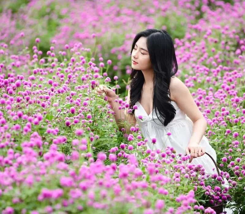 Chi&ecirc;m ngưỡng vẻ đẹp rực rỡ của l&agrave;ng hoa Nhật T&acirc;n giữa l&ograve;ng H&agrave; Nội 9