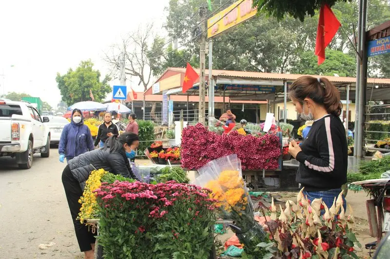 Chợ hoa M&ecirc; Linh: Nơi giao thoa hương sắc v&agrave; nhịp sống H&agrave; Nội 6