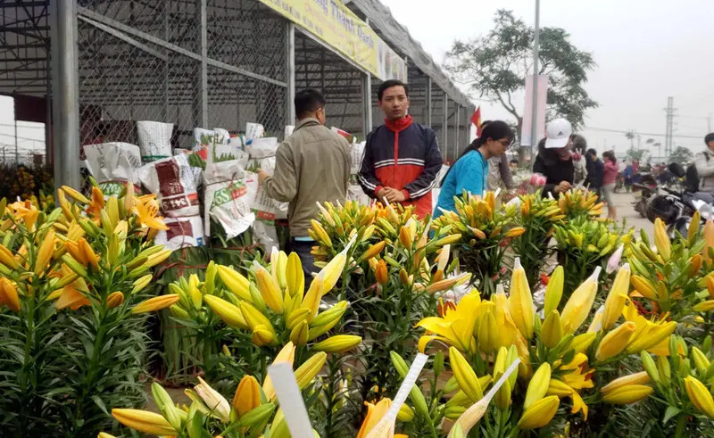 Chợ hoa M&ecirc; Linh: Nơi giao thoa hương sắc v&agrave; nhịp sống H&agrave; Nội 5