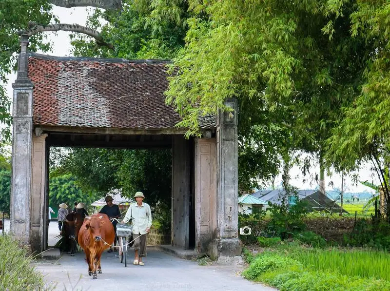Chợ hoa M&ecirc; Linh: Nơi giao thoa hương sắc v&agrave; nhịp sống H&agrave; Nội 9