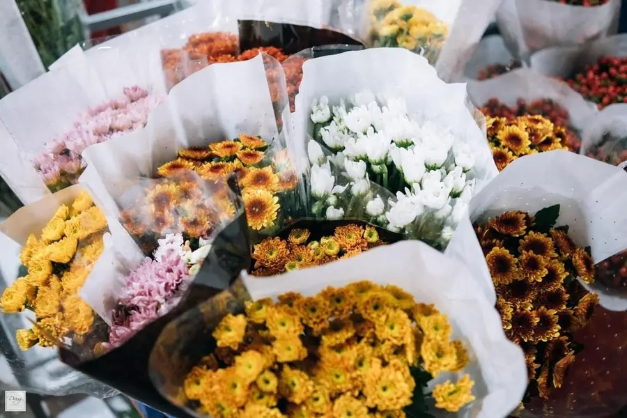 Chợ hoa Quảng An, vẻ đẹp rực rỡ khoe sắc s&aacute;ng bừng thủ đ&ocirc; 7
