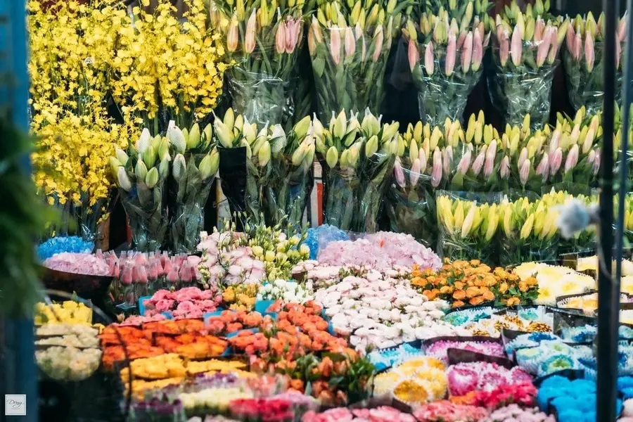 Chợ hoa Quảng An, vẻ đẹp rực rỡ khoe sắc s&aacute;ng bừng thủ đ&ocirc; 4