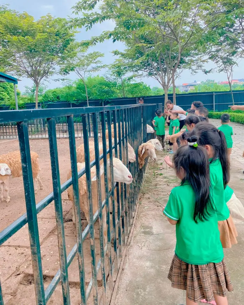 C&oacute; g&igrave; tại Ph&ugrave; Đổng Green Park, khu du lịch H&agrave; Nội nổi tiếng 11