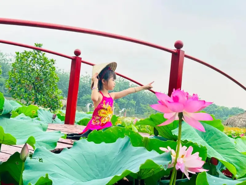 C&oacute; g&igrave; tại Ph&ugrave; Đổng Green Park, khu du lịch H&agrave; Nội nổi tiếng 15