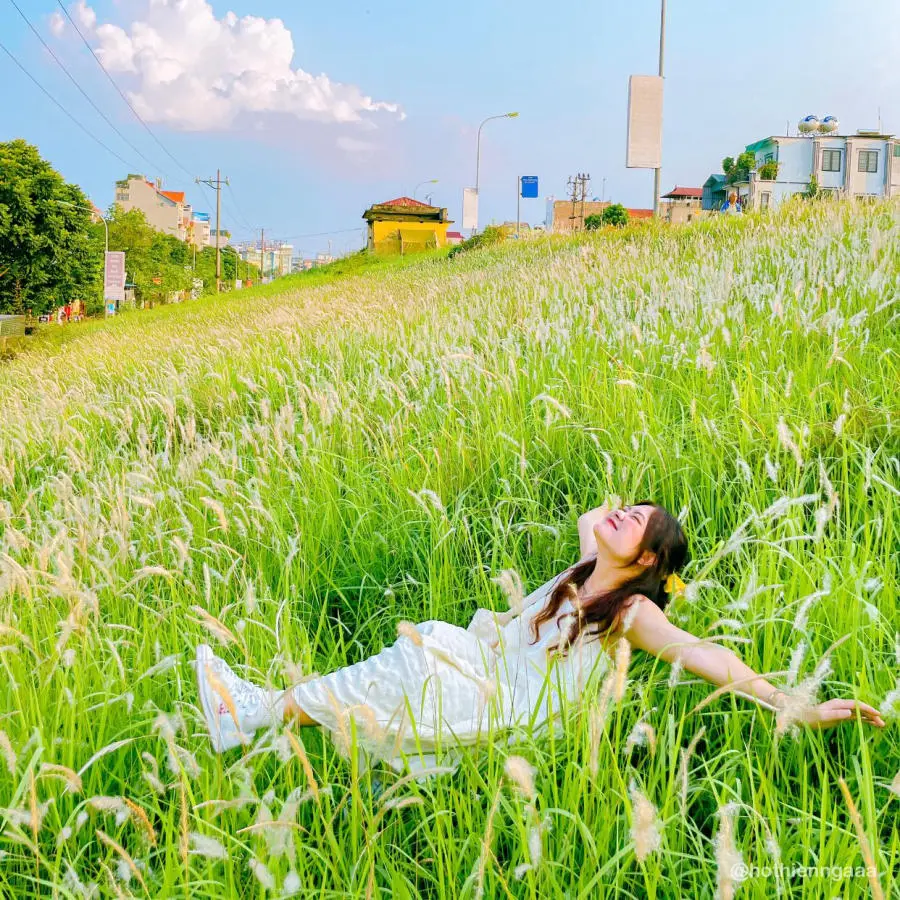 C&oacute; một H&agrave; Nội m&ugrave;a cỏ lau dịu d&agrave;ng v&agrave; n&ecirc;n thơ đến thế 3