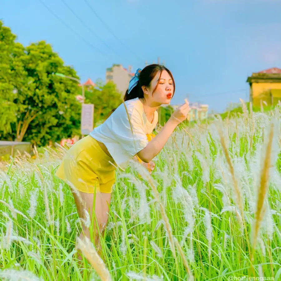 C&oacute; một H&agrave; Nội m&ugrave;a cỏ lau dịu d&agrave;ng v&agrave; n&ecirc;n thơ đến thế 2