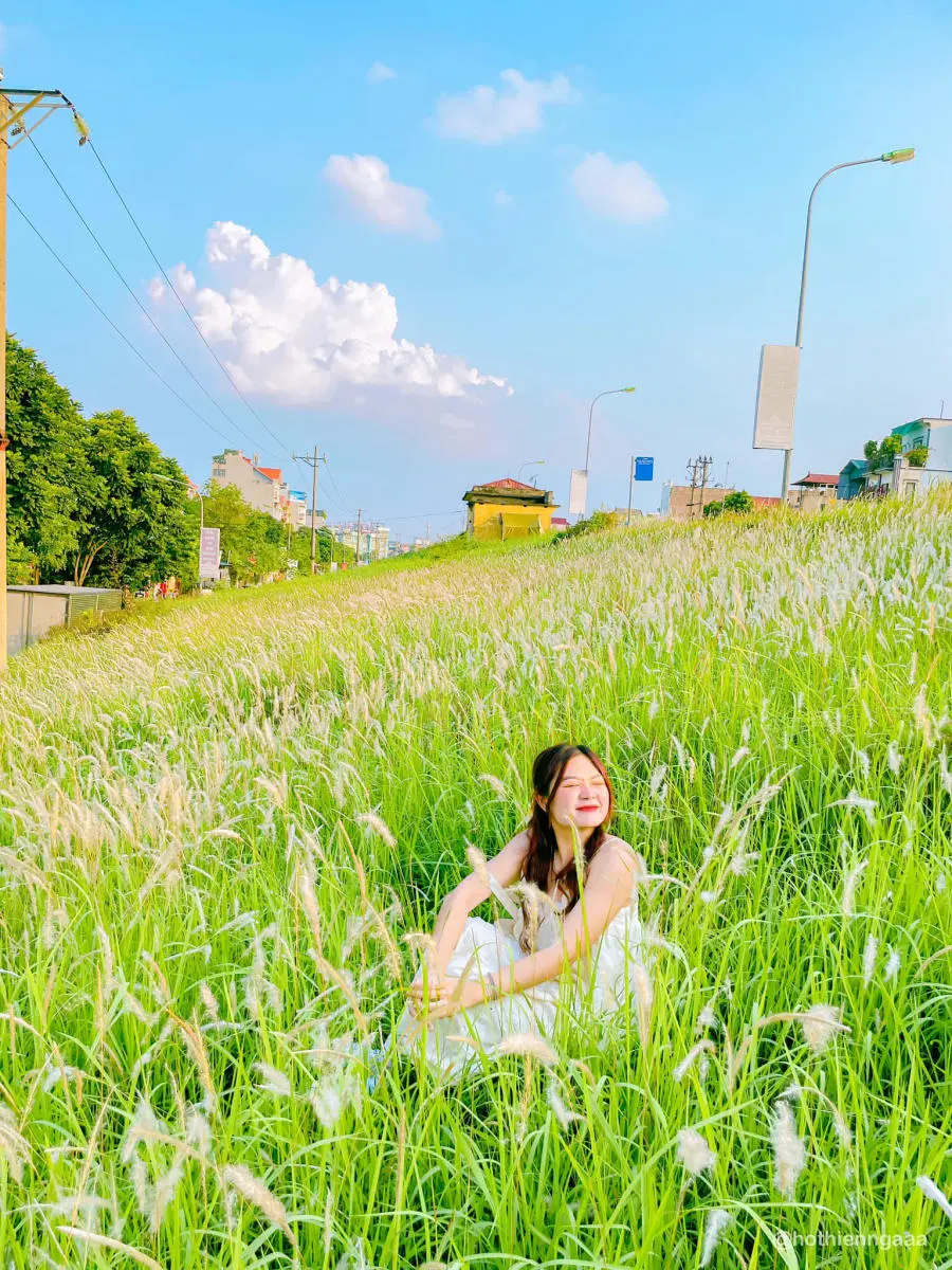 C&oacute; một H&agrave; Nội m&ugrave;a cỏ lau dịu d&agrave;ng v&agrave; n&ecirc;n thơ đến thế 7