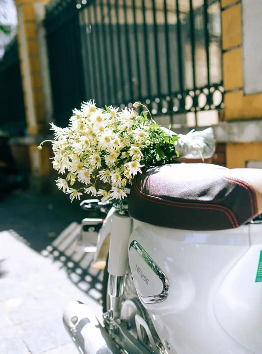 C&uacute;c họa mi H&agrave; Nội, vẻ đẹp thanh tao đậm chất thủ đ&ocirc; 5