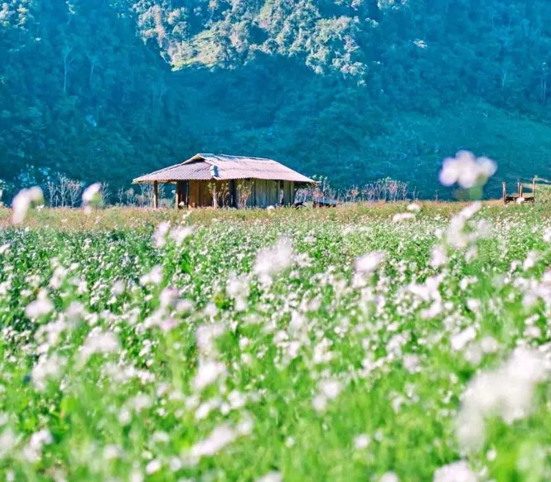 D&agrave;nh trọn kỳ nghỉ đầu năm với 10 địa điểm du lịch Tết gần H&agrave; Nội 14