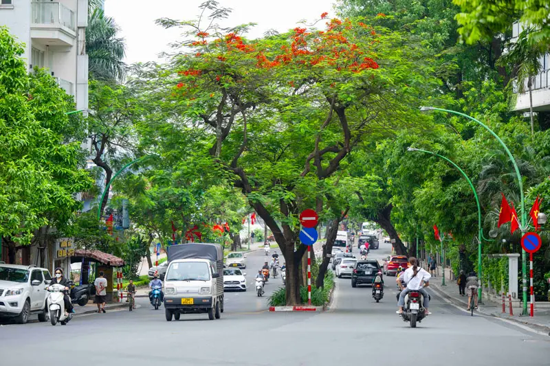 Dạo bước ngắm đường Thanh Ni&ecirc;n, con phố t&igrave;nh y&ecirc;u của H&agrave; Nội 7