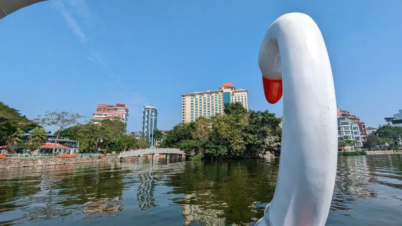 Đạp vịt hồ T&acirc;y, l&ecirc;nh đ&ecirc;nh tr&ecirc;n mặt nước m&agrave;u xanh ngọc b&iacute;ch 6