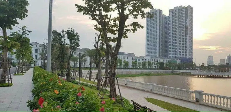 Hồ Mễ Tr&igrave;: Kh&ocirc;ng gian xanh y&ecirc;n b&igrave;nh giữa l&ograve;ng H&agrave; Nội 8