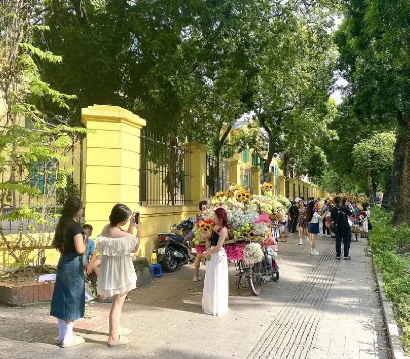 Kh&aacute;m ph&aacute; đường Ho&agrave;ng Diệu H&agrave; Nội, cung đường lịch sử v&agrave; thơ mộng 7