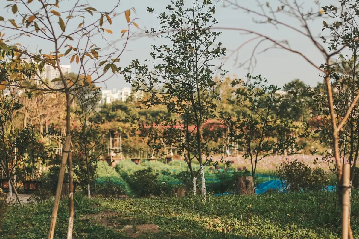 Khám phá Hà Nội quả vẻ đẹp đầy ấn tượng tại Học viện Nông nghiệp Việt Nam 17