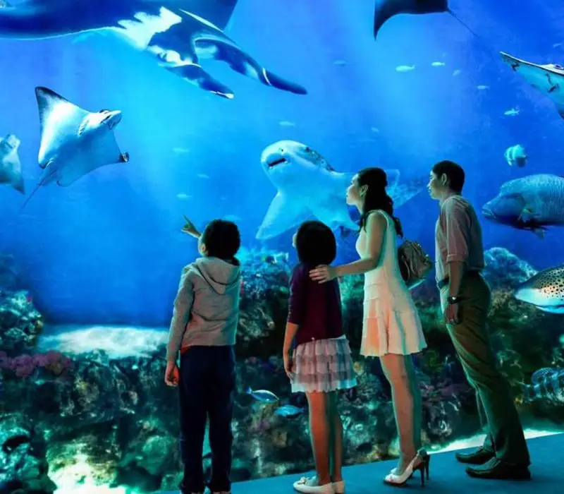 Kinh nghiệm tham quan Times City, khu đ&ocirc; thị sầm uất của H&agrave; Nội 5