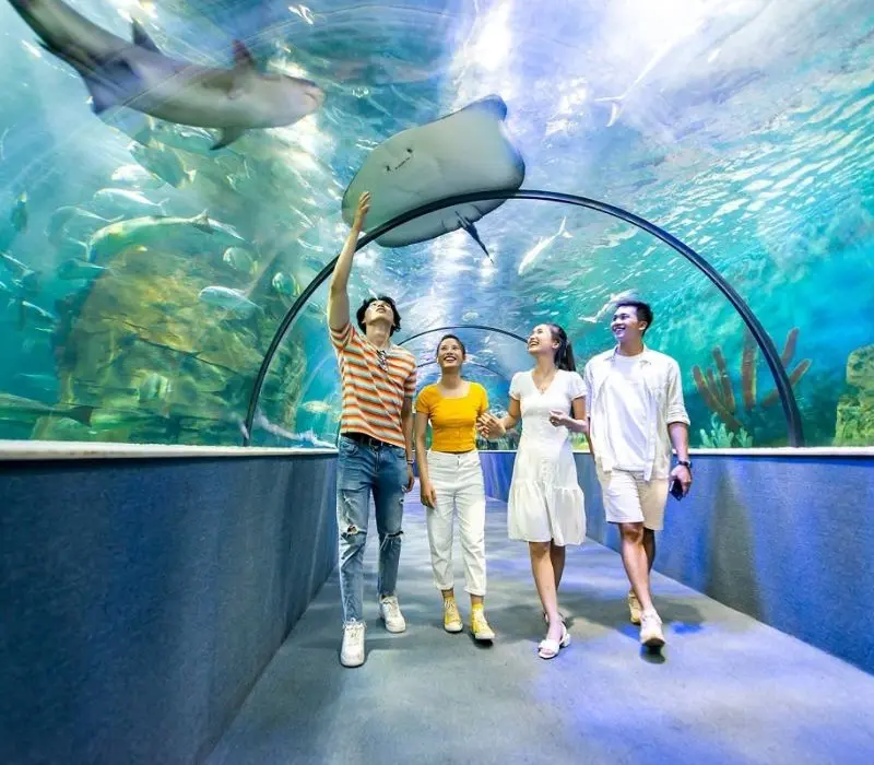 Kinh nghiệm tham quan Times City, khu đ&ocirc; thị sầm uất của H&agrave; Nội 4