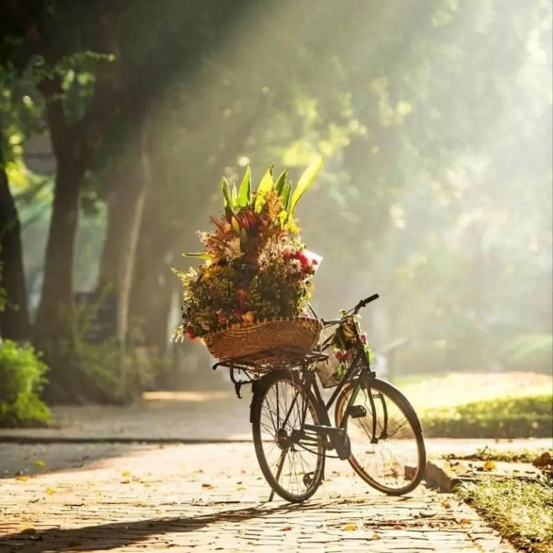 M&ugrave;a thu H&agrave; Nội dịu d&agrave;ng b&ecirc;n những chiếc xe hoa 2