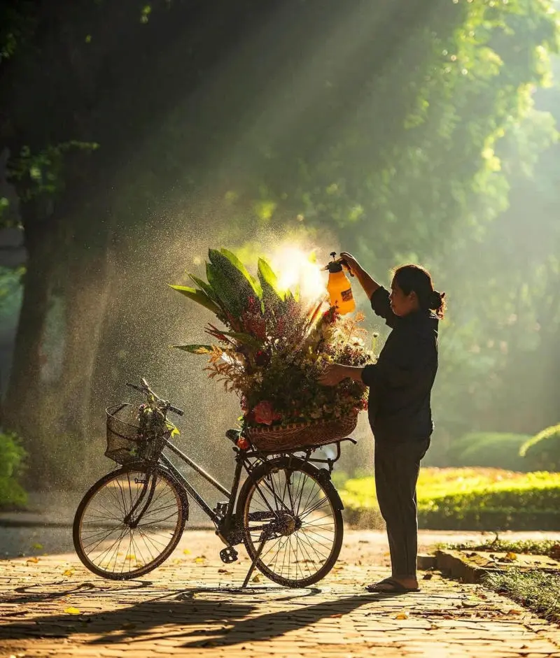 M&ugrave;a thu H&agrave; Nội dịu d&agrave;ng b&ecirc;n những chiếc xe hoa 4