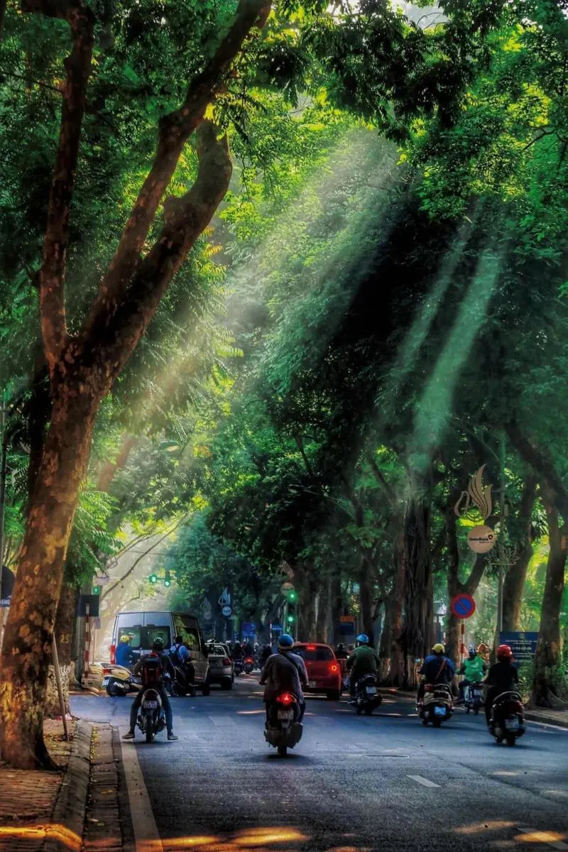 M&ugrave;a thu H&agrave; Nội dịu d&agrave;ng b&ecirc;n những chiếc xe hoa 6