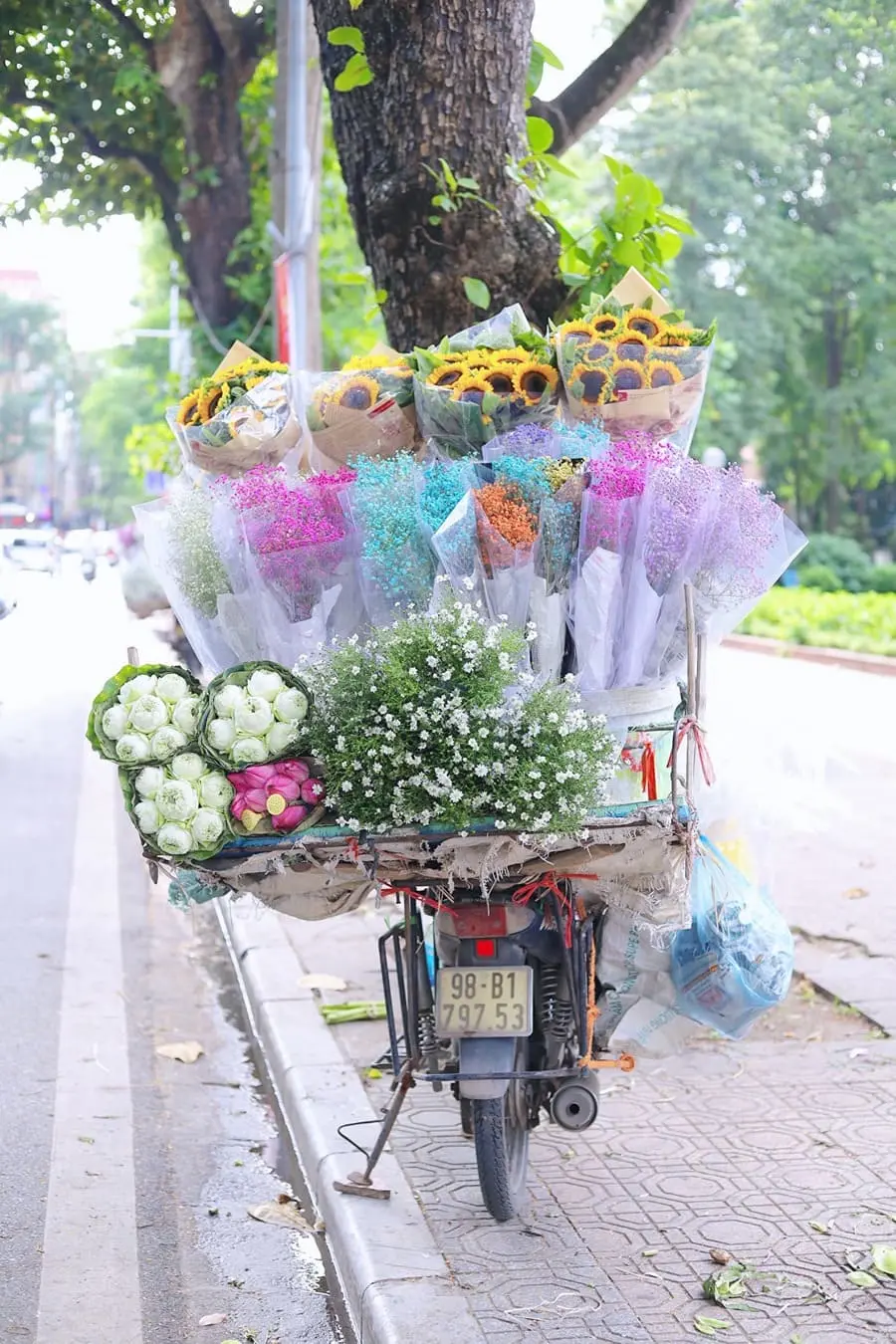 M&ugrave;a thu H&agrave; Nội, vẻ đẹp l&atilde;ng đ&atilde;ng tựa như lời h&aacute;t ru 2