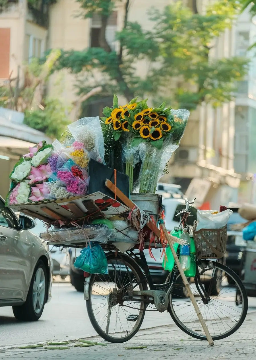 N&eacute;t thanh tao của H&agrave; Nội giao m&ugrave;a tr&ecirc;n từng g&oacute;c phố 3