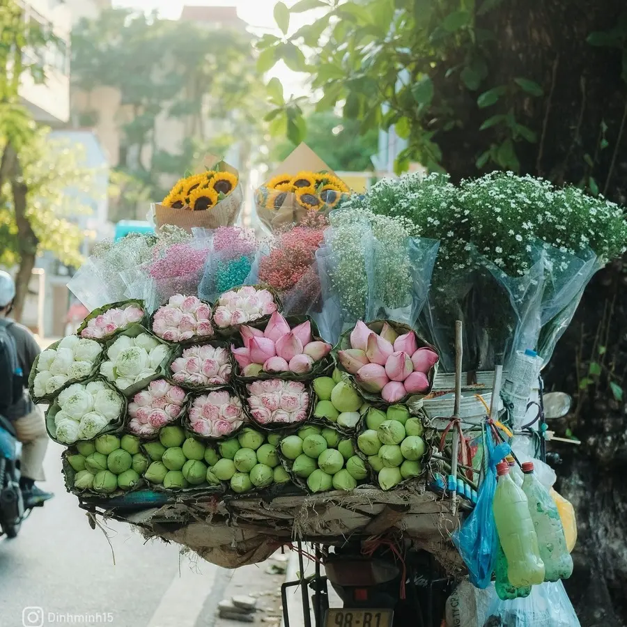 N&eacute;t thanh tao của H&agrave; Nội giao m&ugrave;a tr&ecirc;n từng g&oacute;c phố 2