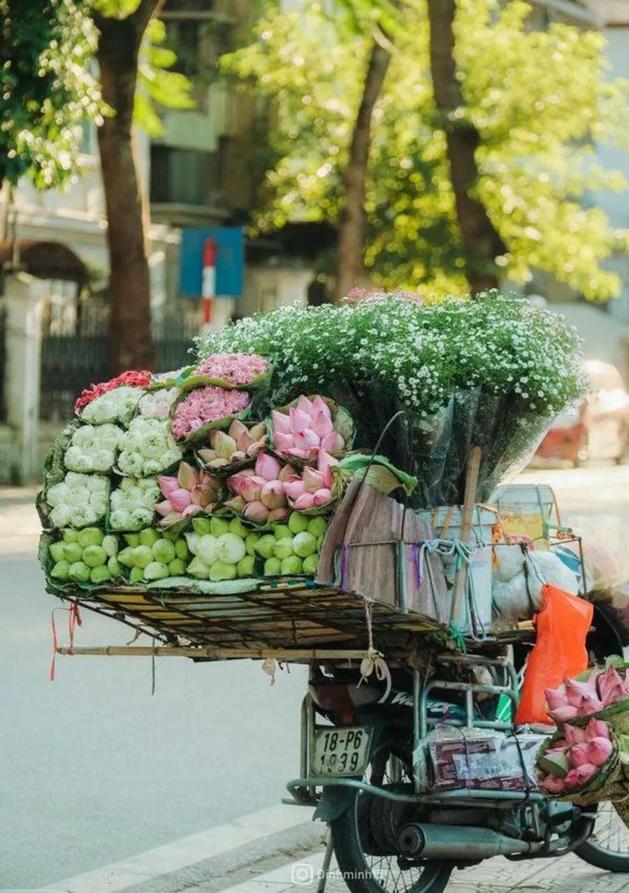 N&eacute;t thanh tao của H&agrave; Nội giao m&ugrave;a tr&ecirc;n từng g&oacute;c phố 6