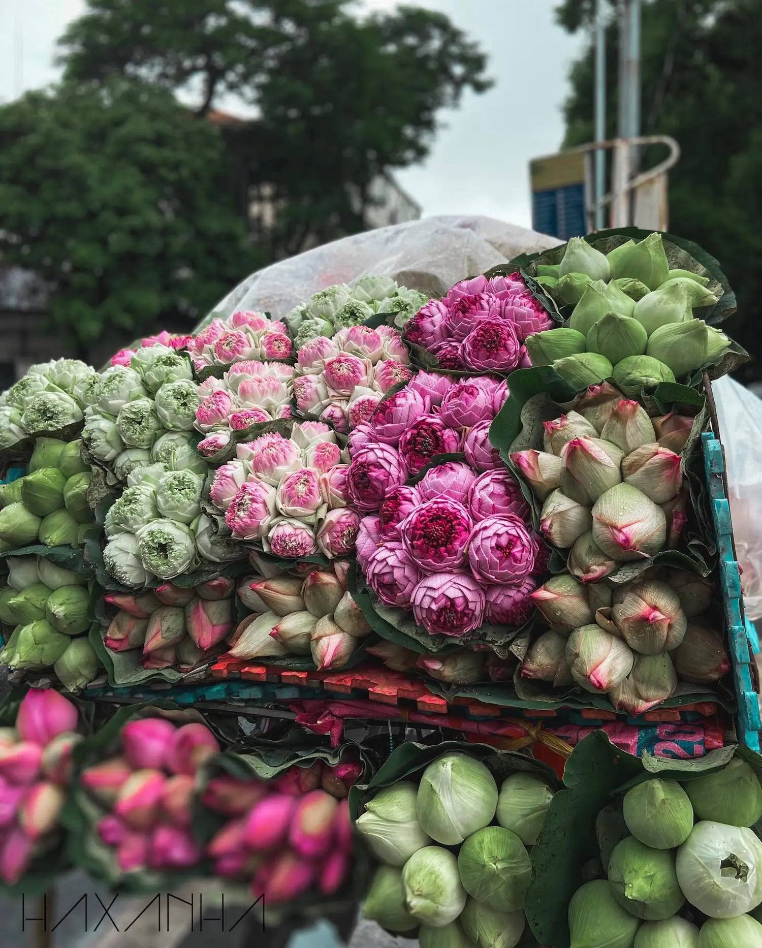 Những chiếc xe hoa g&aacute;nh cả trời thương nhớ H&agrave; Nội 2