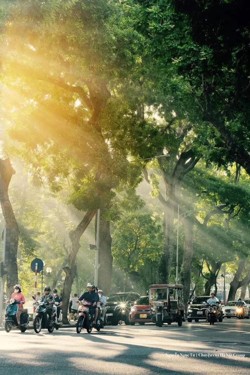 Phố Phan Đ&igrave;nh Ph&ugrave;ng, điểm vui chơi l&atilde;ng mạn nhất H&agrave; Th&agrave;nh 4