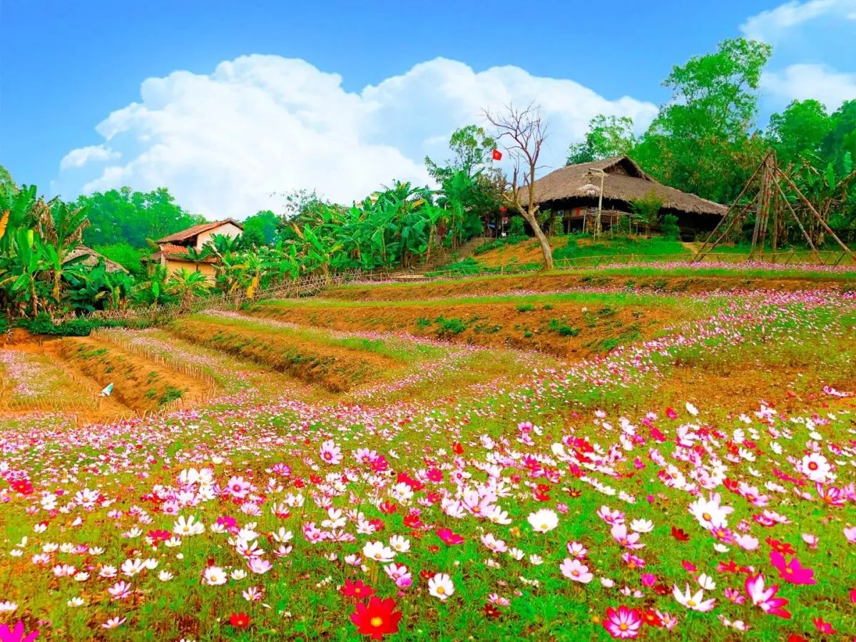 Review một chuyến du lịch Ba V&igrave; tiết kiệm chi ph&iacute; d&agrave;nh cho bạn 6