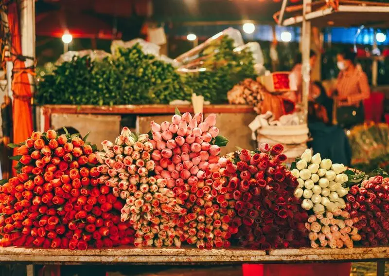 T&acirc;y Hồ H&agrave; Nội: Vẻ đẹp thơ dịu d&agrave;ng b&ecirc;n bờ s&ocirc;ng Hồng 5