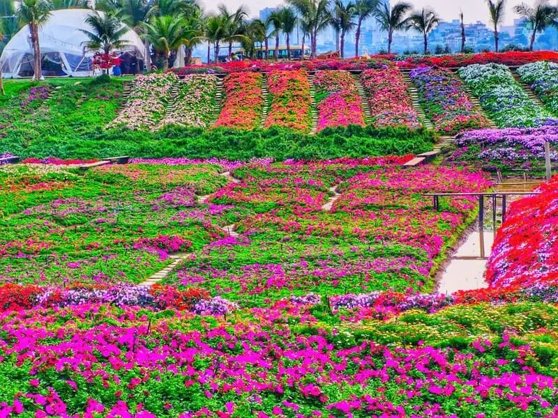 T&acirc;y Hồ H&agrave; Nội: Vẻ đẹp thơ dịu d&agrave;ng b&ecirc;n bờ s&ocirc;ng Hồng 9
